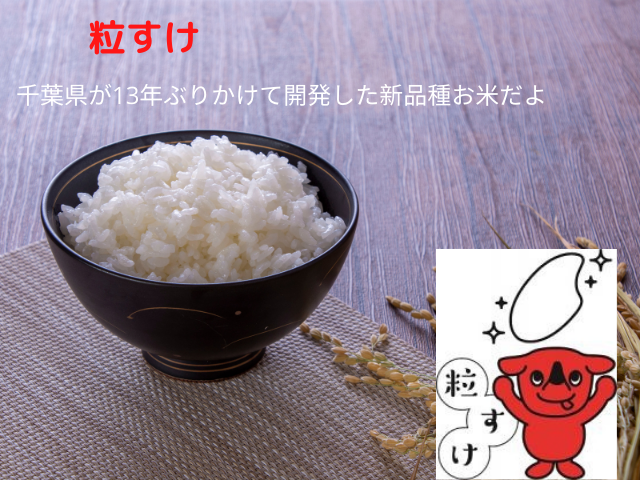 千葉県産 令和5年コシヒカリ玄米5kg減農薬栽培