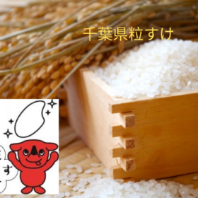 新米令和5年産 千葉県産粒すけ 特別栽培米 【玄米】5kg - 厳選米が選んで買えるオンラインストア「バイキング米」