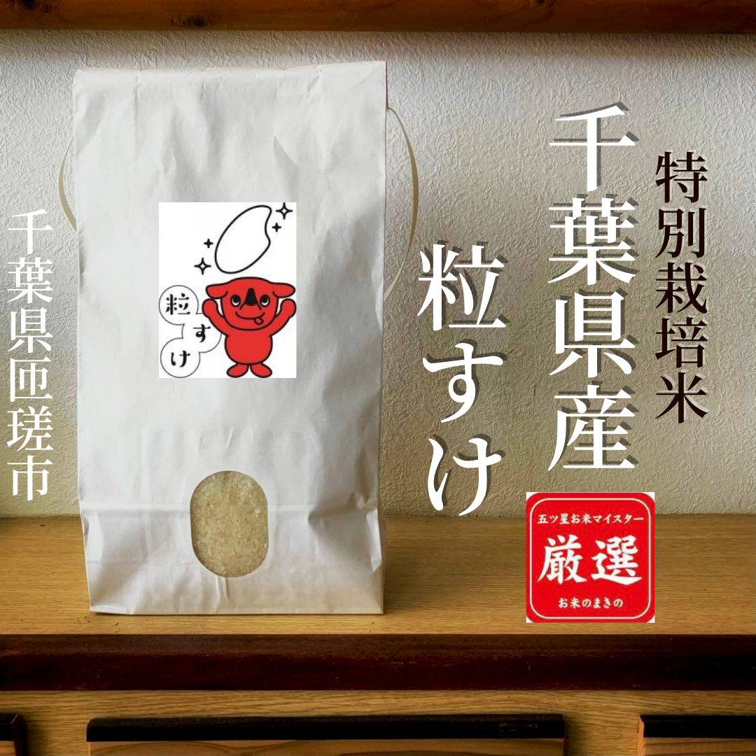 新米令和５年産　【玄米】５kg　厳選米が選んで買えるオンラインストア「バイキング米」　千葉県産粒すけ　特別栽培米